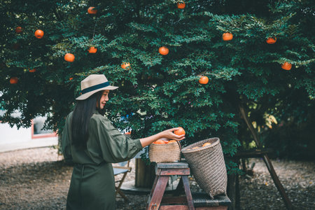 Portrait of Happy traveler asian woman with orange holding hand relax in orchard and cafe at Thailandの写真素材
