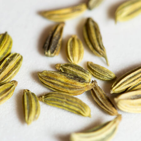 Macro of Fennel seeds on a white backgroundの写真素材