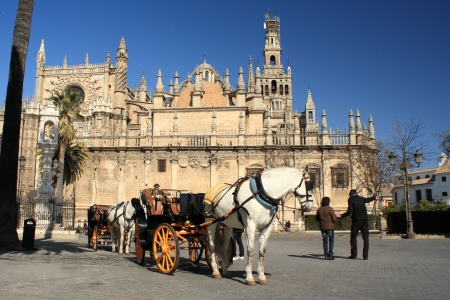 horse-drawn barouche waiting for turists in Seville のeditorial素材