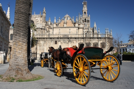 horse driven coach in front of cathedral in Sevilleの写真素材