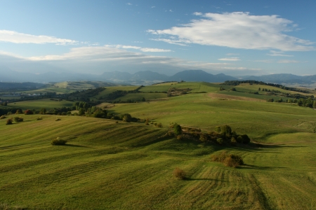 meadows in Low Tatras in Eastern Slovakiaの写真素材