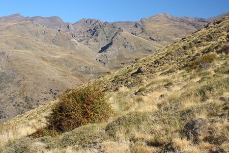 slopes in Sierra Nevada National Parkの写真素材