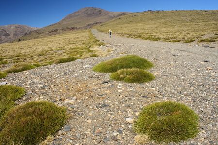 walker on a footpath to Mulhacen in Sierra Nevada National Parkの写真素材