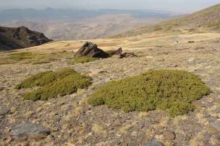 Sierra Nevada National Park in Andalusiaの写真素材