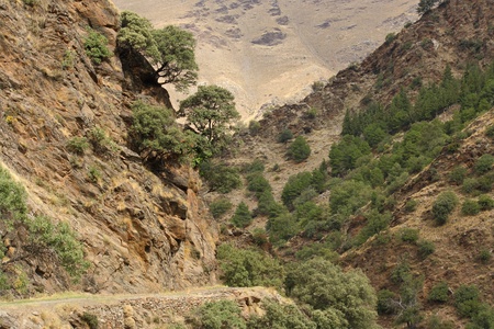 Camino de la Estrella in Sierra Nevada National Parkの写真素材