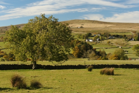 rolling hills in Northumberland, Englandの写真素材