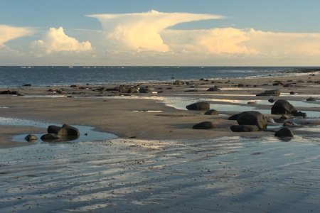 Northumberland coast at low tide の写真素材