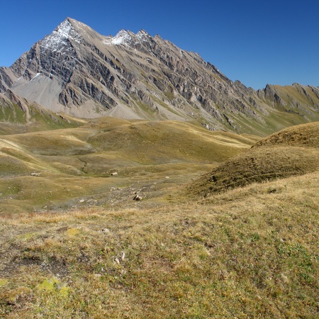 alpine peaks and meadowsの写真素材