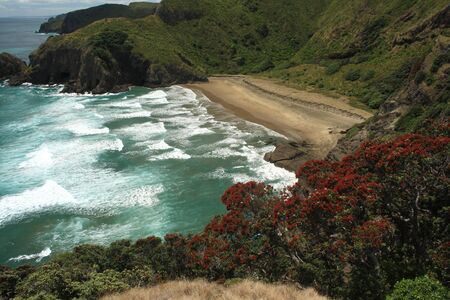 New Zealand coastの写真素材
