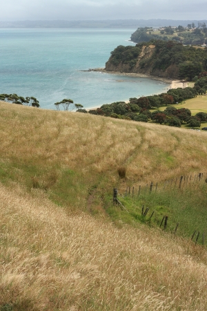 Shakespear Regional Parkの写真素材