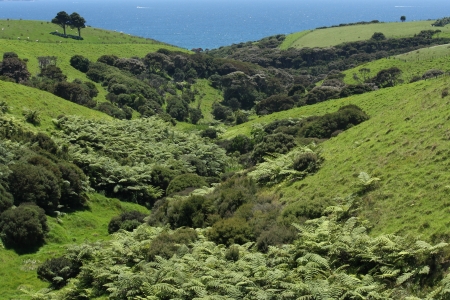 green hills in New Zealandの写真素材