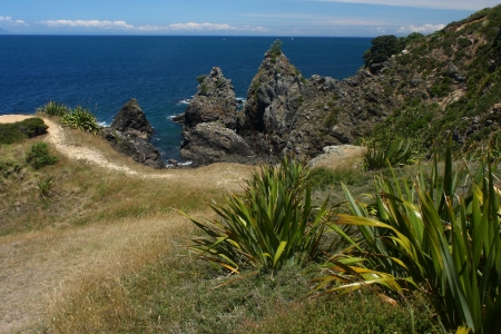 path on New Zealand coastの写真素材