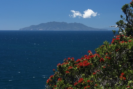 Great Barrier Island, New Zealandの写真素材