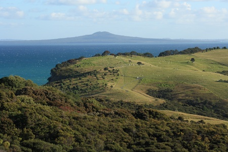 New Zealand coastline with Rangitoto Island in backgroundの写真素材
