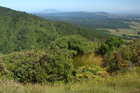 view from mount Pirongia, North Island, New Zealandの写真素材