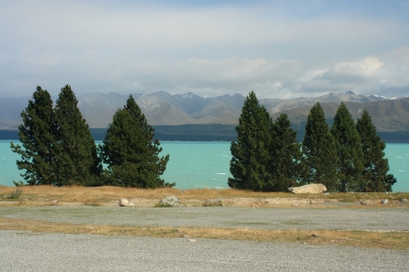 view of lake Pukaki with fir trees in foregroundの写真素材