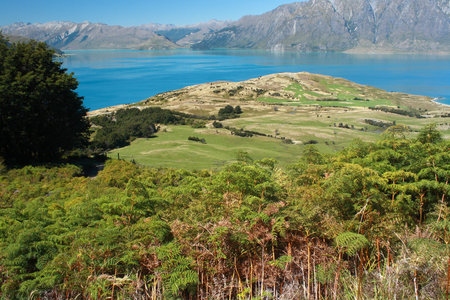 lake Hawea, Otago, South Island, New Zealandの写真素材