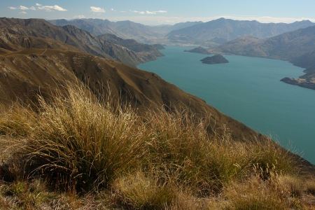 grassland above lake Wanaka, New Zealandの写真素材