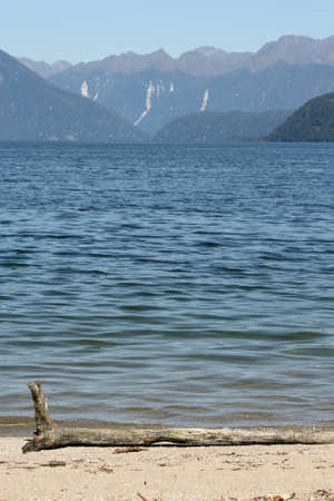 tree trunk on shore of lake Manapouri, New Zealandの写真素材
