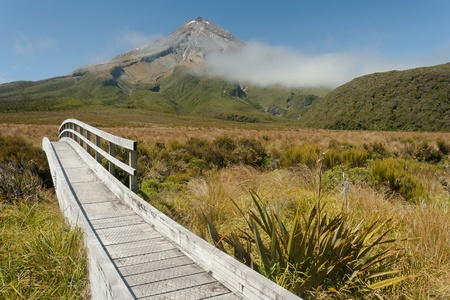 wooden bridge at Ahukawakawa swampの写真素材