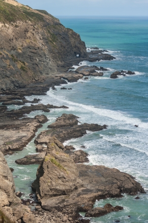 New Zealand coastの写真素材