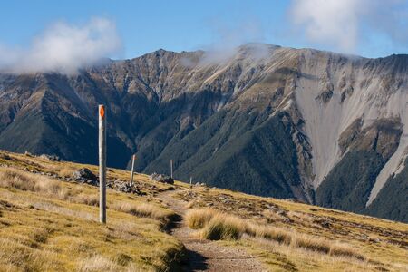 narrow track accross grassy hills in Nelson Lakes National Parkの写真素材