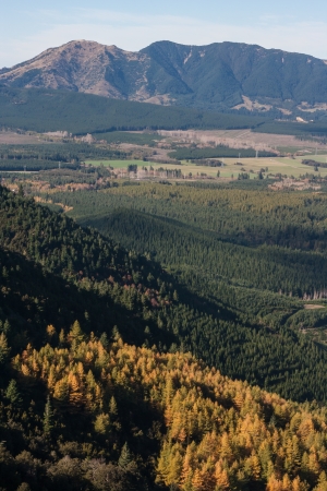 forested slopes above Hanmer Springs in New Zealandの写真素材