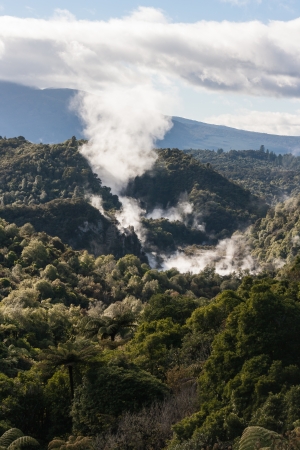 volcanoes in thermal valley in Rotorua, New Zealandの写真素材