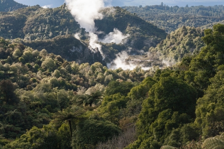 thermal valley in Rotorua, New Zealandの写真素材