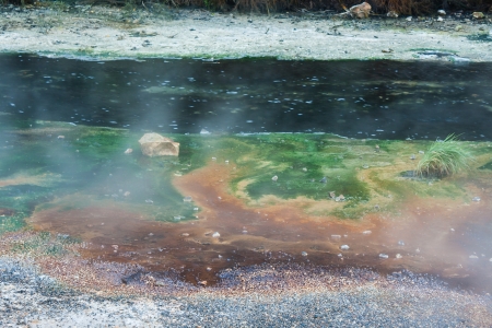 hot spring with colourful deposits in Waimangu volcanic valleyの写真素材