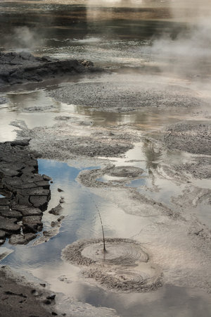 mud pools in Rotorua, New Zealand