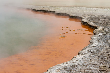 Champagne poolの写真素材