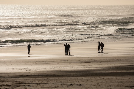 people strolling on Piha beach at sunsetの写真素材