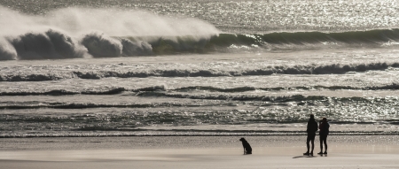 couple with dog standing on beach and watching tidal wavesの写真素材