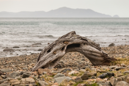 detail of driftwood on beach in Stony Bayの写真素材