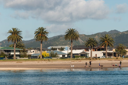 people fishing on Buffalo beach in Whitianga