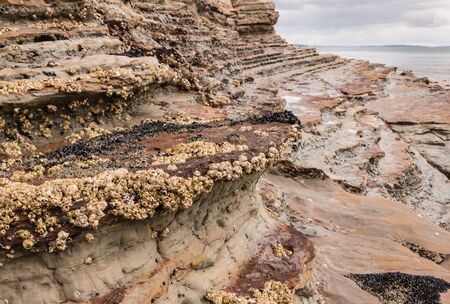 exposed layers in volcanic rockの写真素材