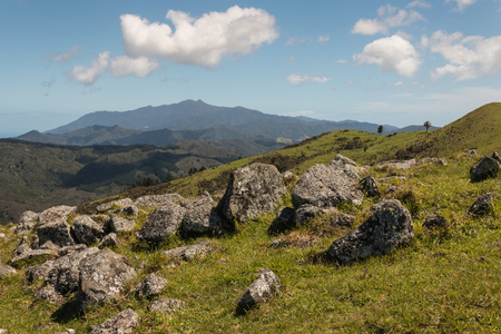 boulders on grassy slope in Coromandel Rangesの写真素材