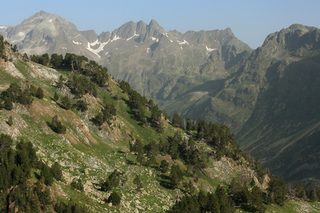 mountain slope with trees in aragon pyreneesの写真素材