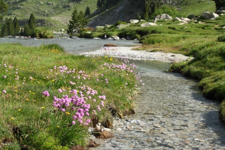 rio esera in vall de benasの写真素材