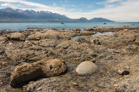 rock pools on Kaikoura beachの写真素材