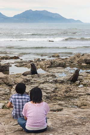 Chinese tourists watching fur seals at  Kaikoura beachの写真素材