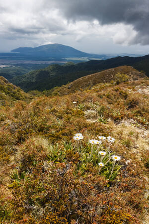 stormy clouds above Mount Pihangaの写真素材