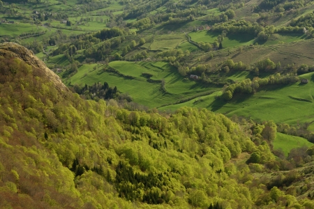 spring meadows at Massif Centralの写真素材