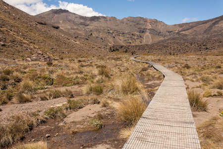 boardwalk across marshes in Tongariro National Park の写真素材