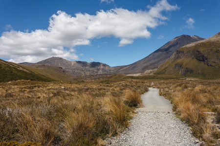 track in Tongariro National Parkの写真素材