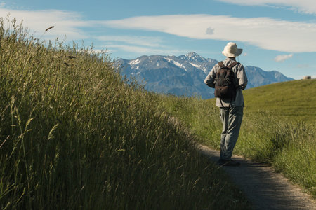 walker admiring alpine peaks