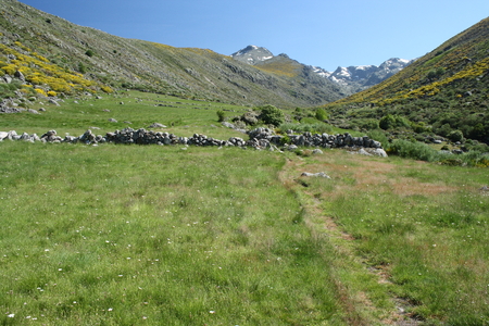 high altitude pastures in Sierra de Gredosの写真素材