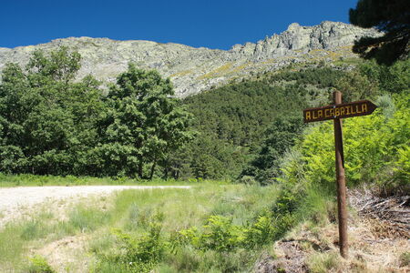wooden sign in Sierra de Gredos, Spainの写真素材