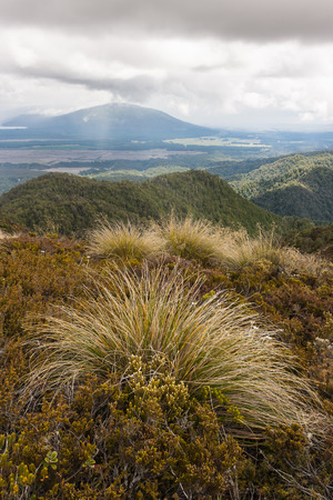 storm in Tongariro National Parkの写真素材